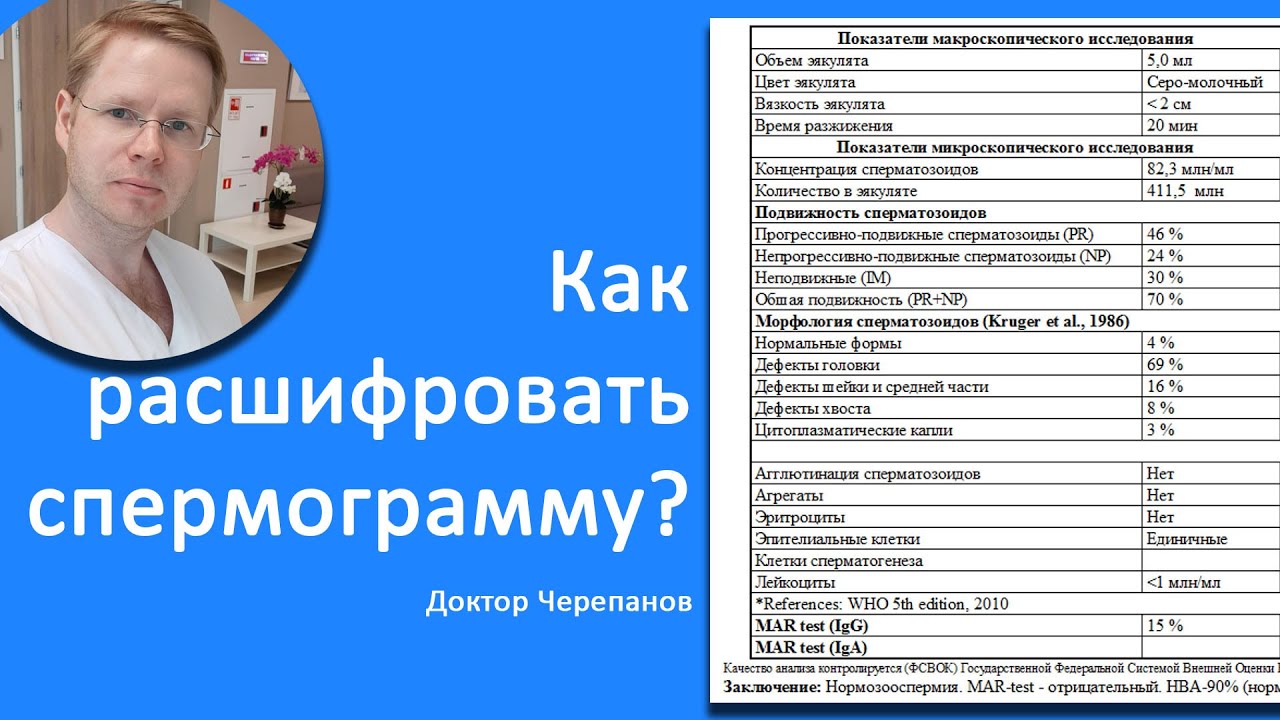 Как расшифровать спермограмму? / Доктор Черепанов