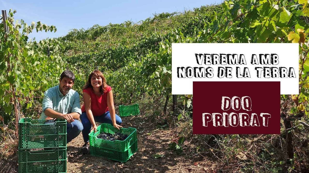 Verema al Priorat
