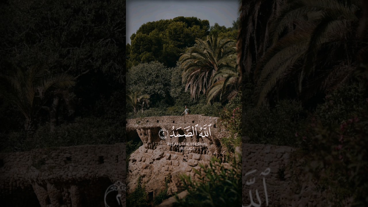 Quran beautiful surah #quran #tlawat #shorts #islamicstatus #foryou #nature #surah #quranrecitation