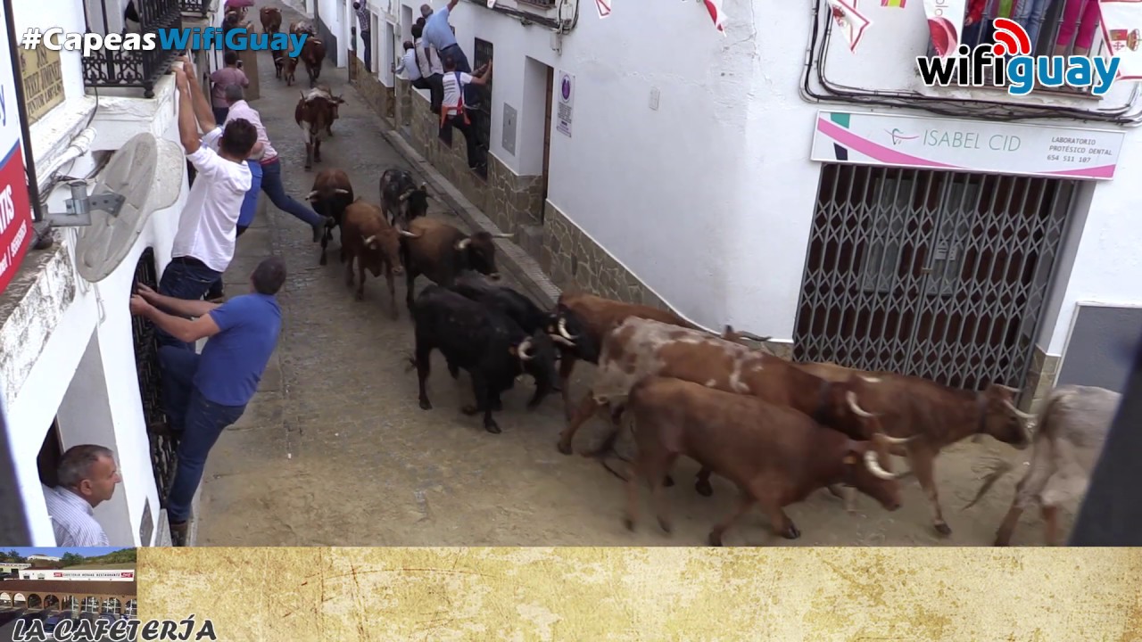 ENTRADA Día 2 D. Miguel Ángel Guerrero Suárez | Capeas Segura de León 2019