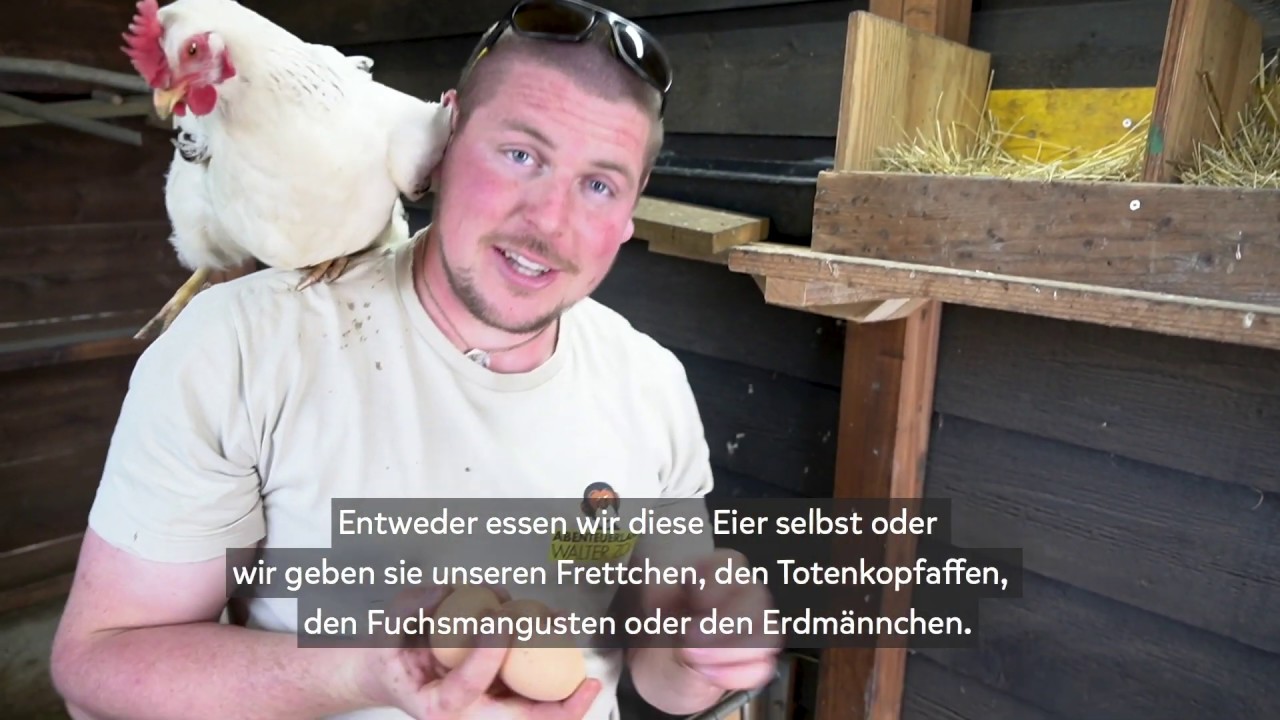 Das Huftierrevier des Walter Zoos stellt sich vor 🐐🐫🐓