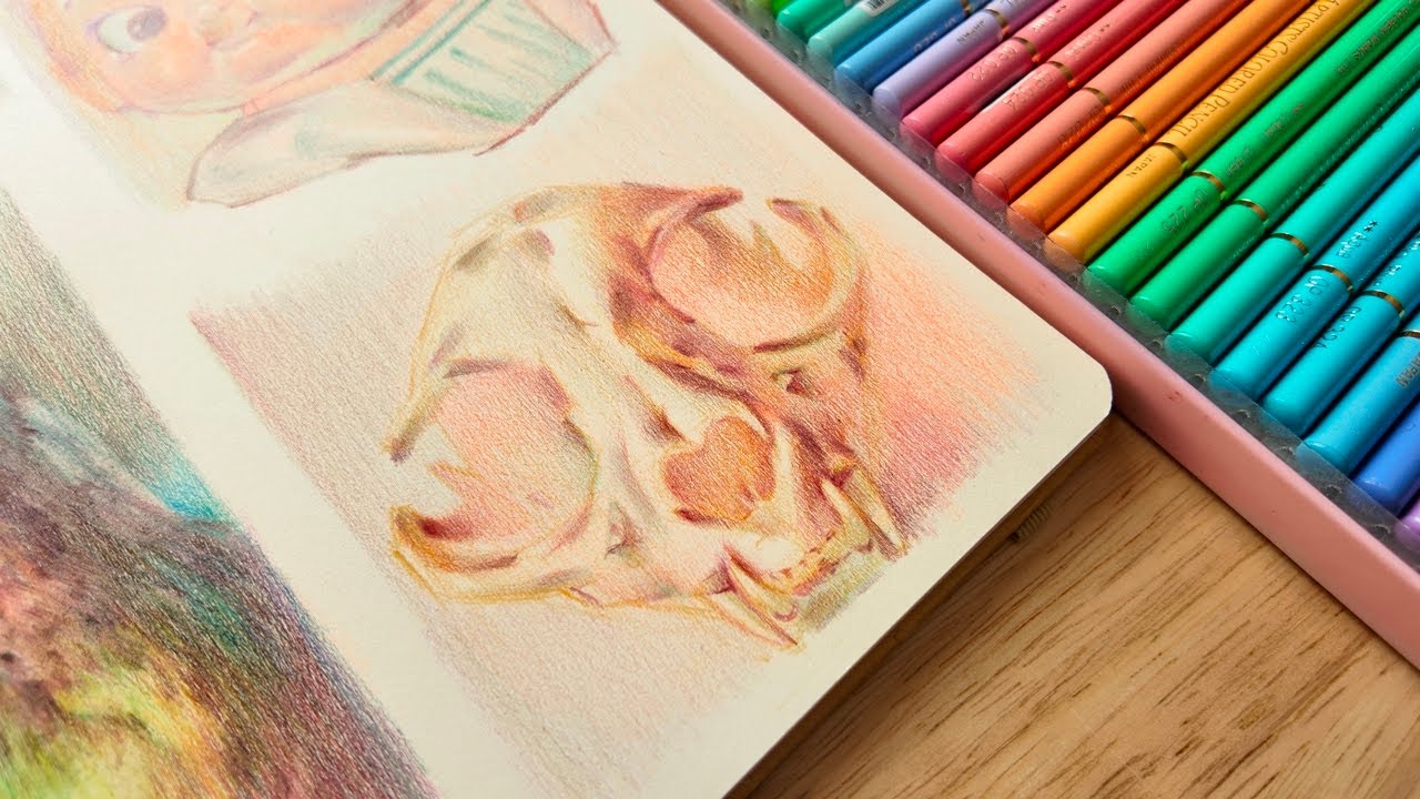 Как я изучаю референсные фотографии цветными карандашами — emrouleauart