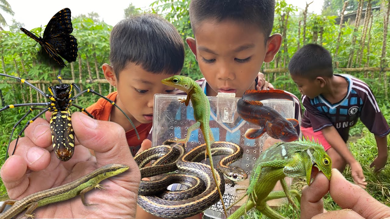Kids fast while hunting reptiles and fish