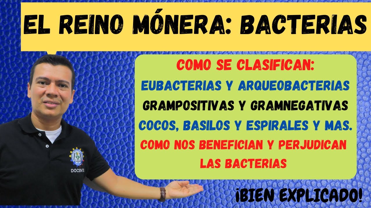 REINO MONERA,BACTERIAS, EUBACTERIAS Y ARQUEOBACTERIAS, GRAMPOSITIVAS Y GRAMNEGATIVAS