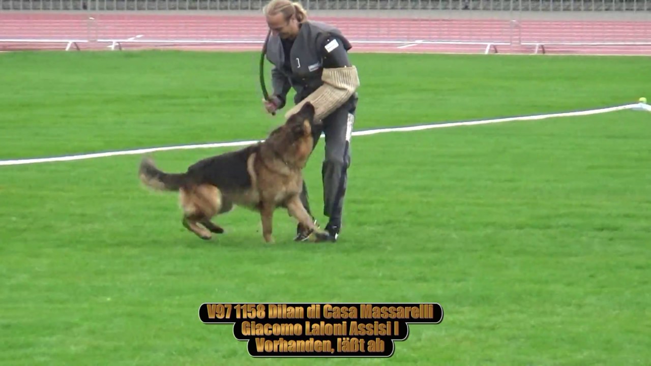 2017 SV BSZS in Ulm TSB part 107 V97 Dilan di Casa Massarelli