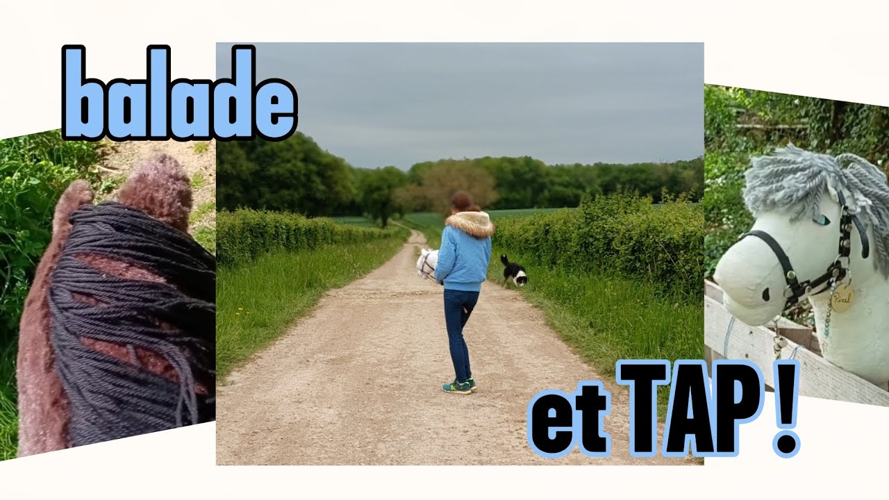 ROUTINE HOBBY HORSE ! balade et TAP !
