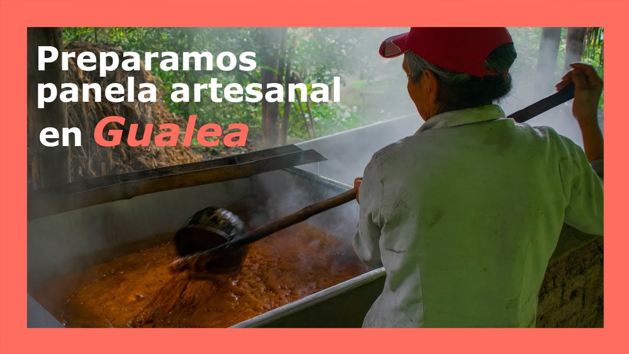 LA CAPITAL DE LA PANELA: El agroturismo vivencial en GUALEA