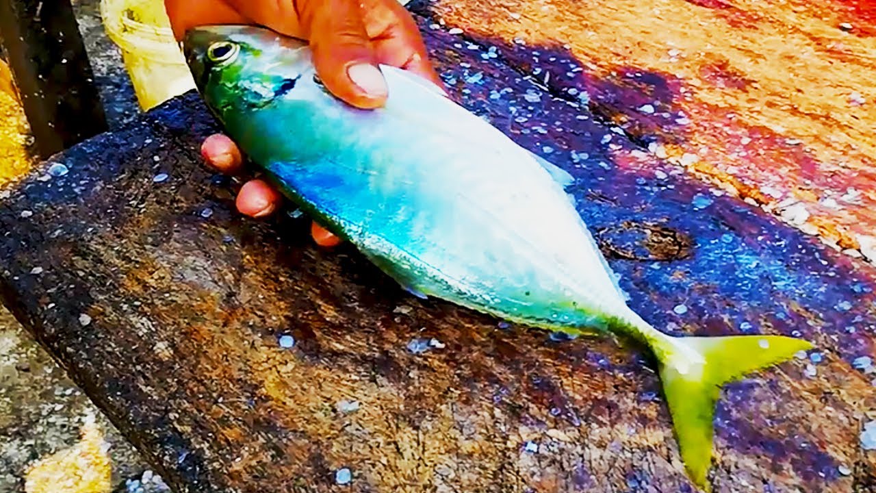 YELLOW SPOTTED TREVALLY CUTTING | FISH CUTTING SKILLS
