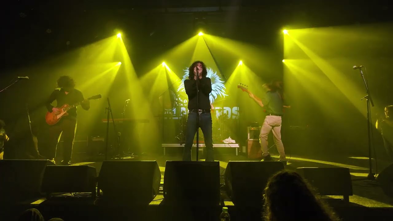 Dazed And Confued - The Blackbirds (Zappa TLV 2026)