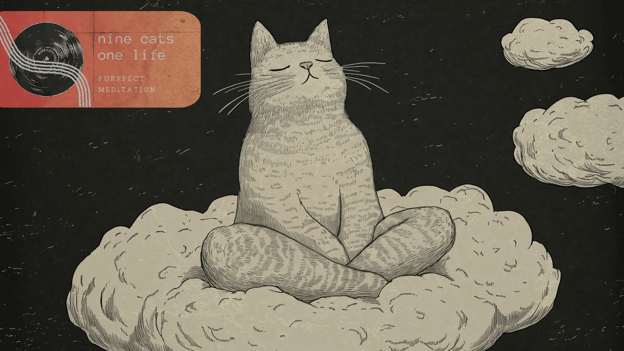 Purrfect Meditation