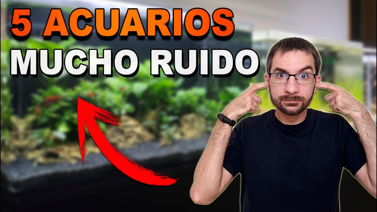 REDUCIR el RUIDO de los FILTROS de ACUARIO | Así Silencio la FishRoom