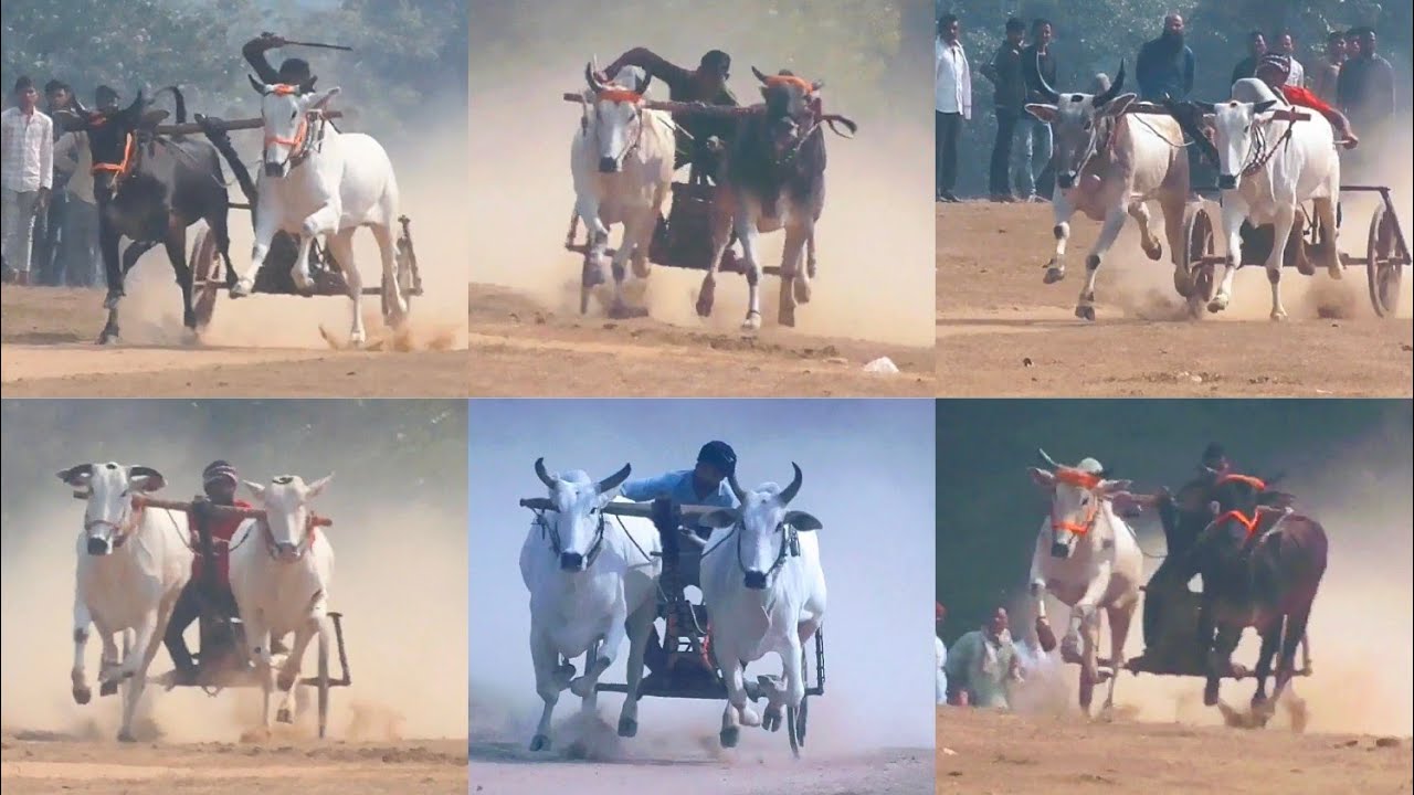 गोंडेगाव पट पहला कपल all videos 😎 । Pat pratiyogita gondegav 2026