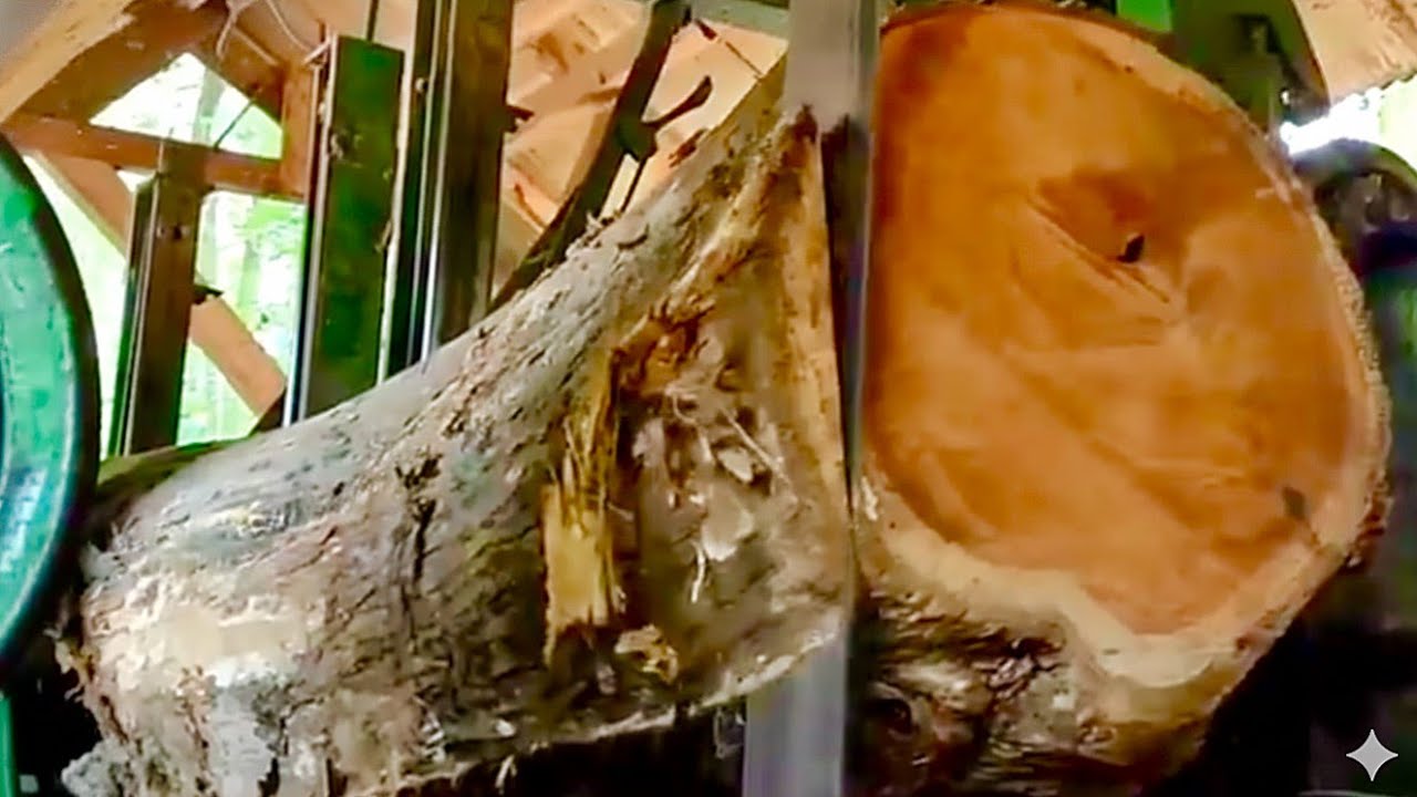 🌲СКРЫТОЕ ЗОЛОТО! Раскройте содержимое большого старого тикового дерева🌲