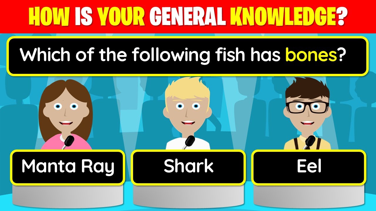 👉  40 Trivia Quiz Questions - How is YOUR general knowledge?! | 25-147