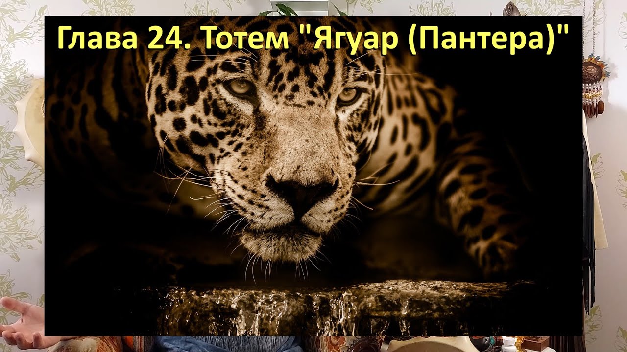 Тотем Ягуар (Пантера)🐆. Глава 24. Хранитель летнего солнцестояния. Шаман - Сергей Попроцкий.