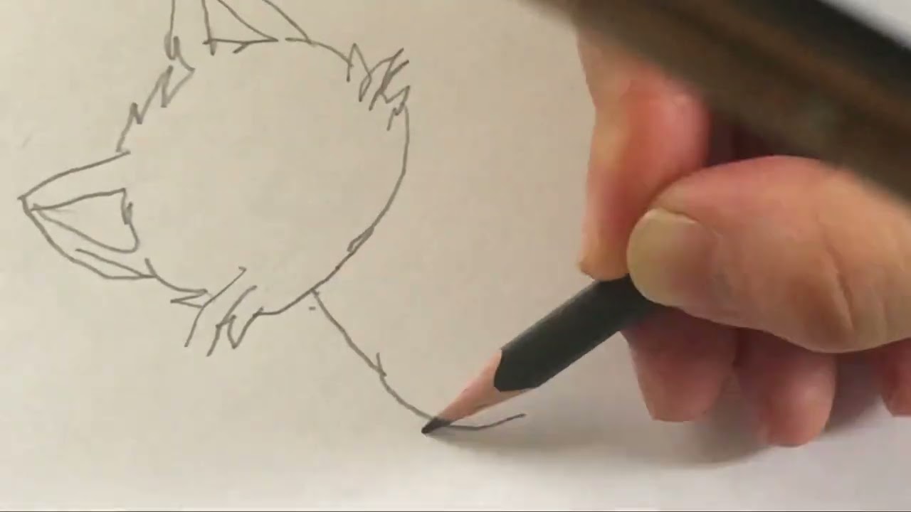 Cat drawing #drawing #cat #education #cutie 