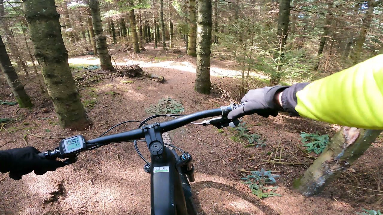 Kelstrup Plantage MTB POV [4K]