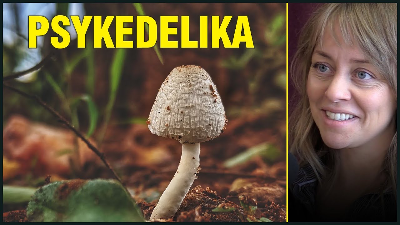 Finnes Det Flere Typer PSYKEDELIKA Utover Sopp og LSD?
