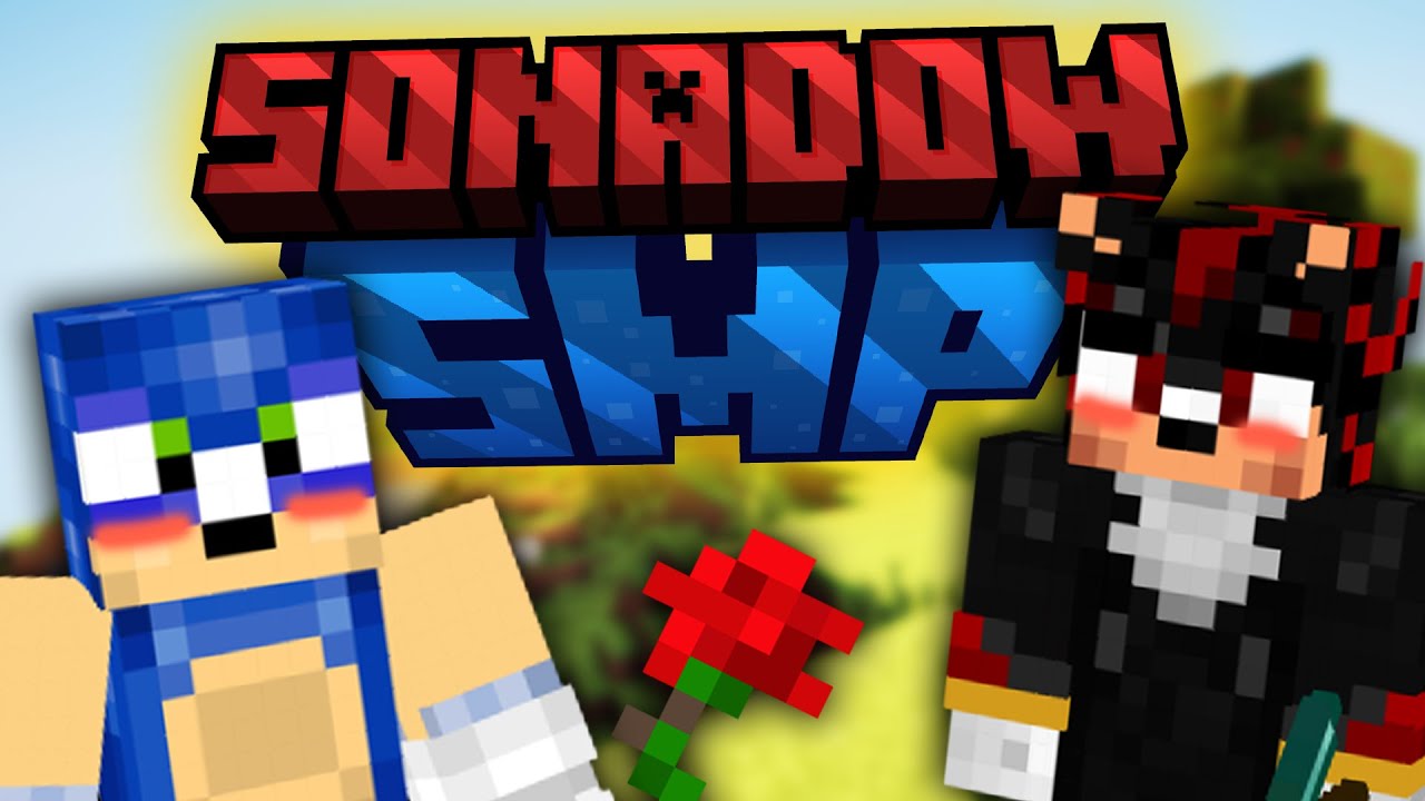 THE SONADOW SMP (Sonic and Shadow play Minecraft LIVE)