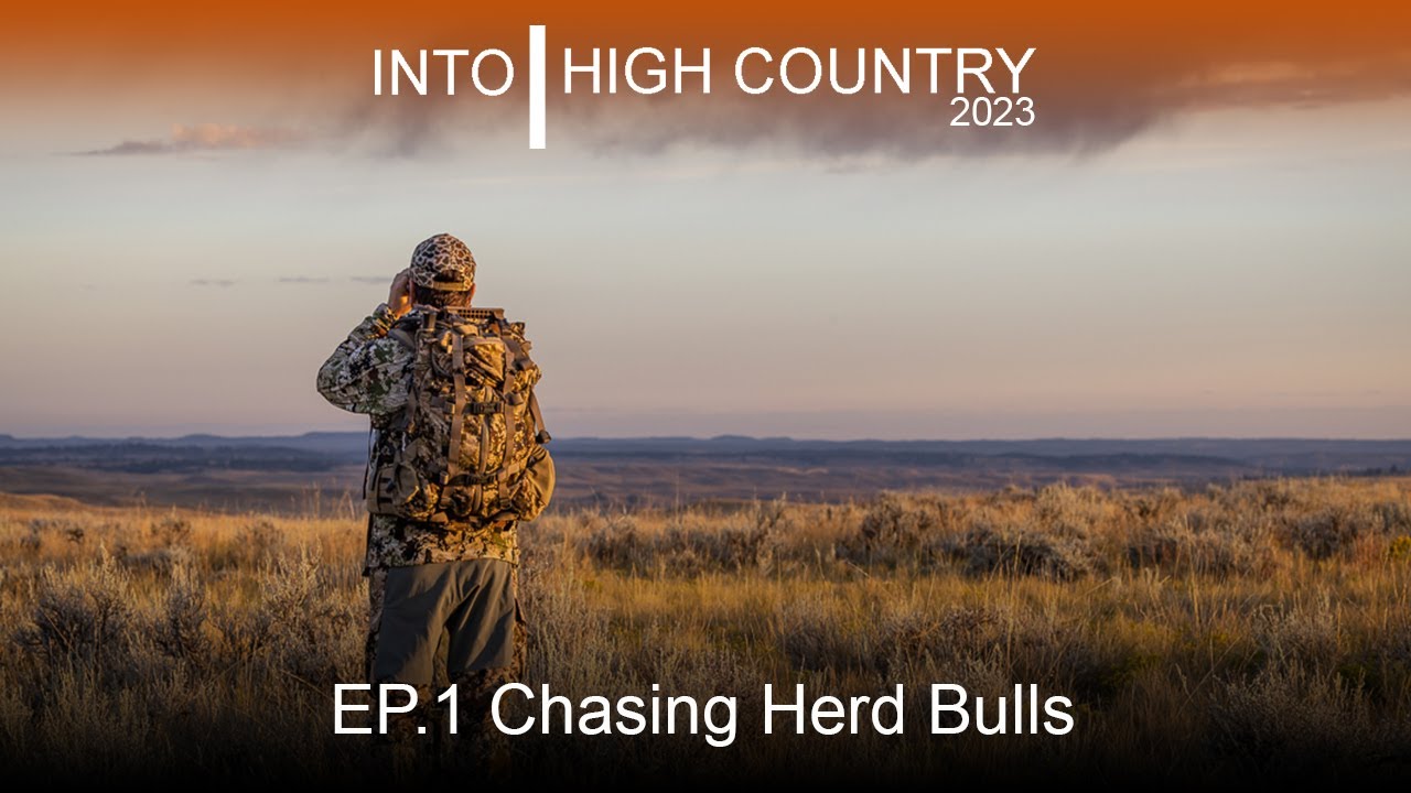 Chasing Herd Bulls Part 1