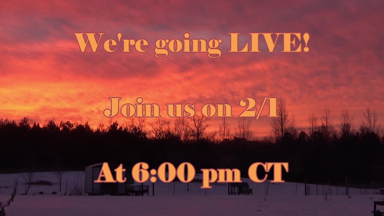 We're going live on 2/1 at 6:00 pm CT.