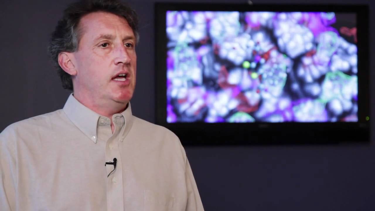 SILCS Drug Design Method