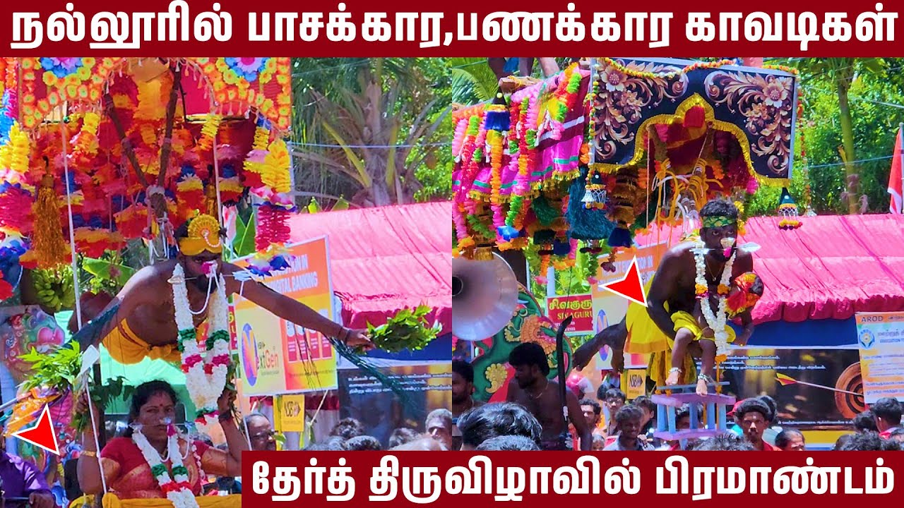 இன்று மதியம்-நல்லூரில் ஆட்டம் போட்ட பறவைக் காவடிகள்-Nallur Murugan Festival's Kavady-Jaffna srilanka