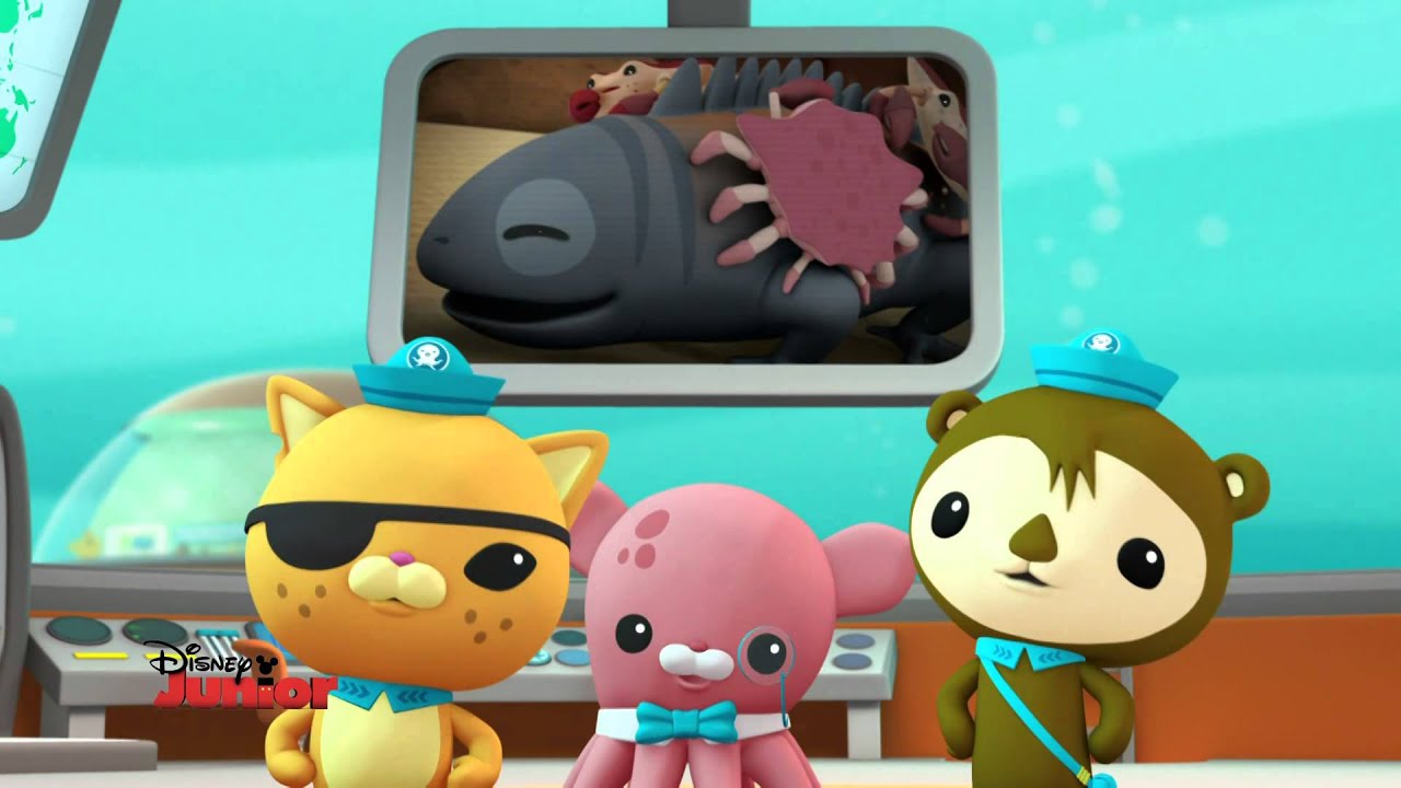 Octonauts - La minute sous-marine :  Les crabes rouges
