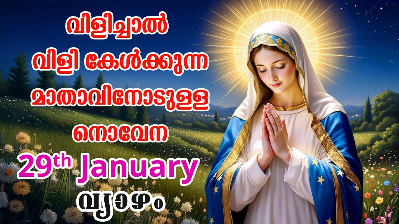29th January 2026 | വിളിച്ചാൽ വിളി കേൾക്കുന്ന മാതാവിന്റെ നൊവേന  | VachanamTV #novenaprayer #novena