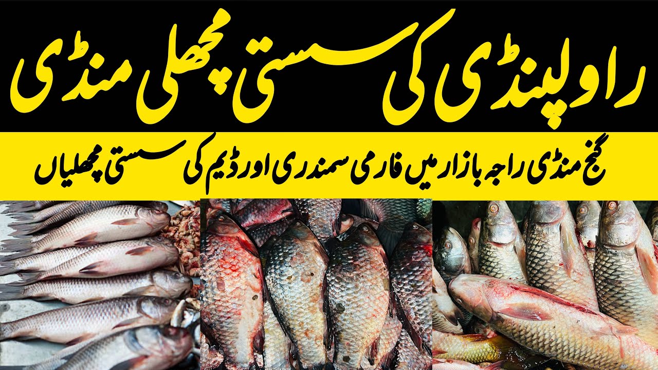 Fish Market | Fish Prices Update | Rawalpindi Islamabad | Pakistan Biggest Fish Market Update 