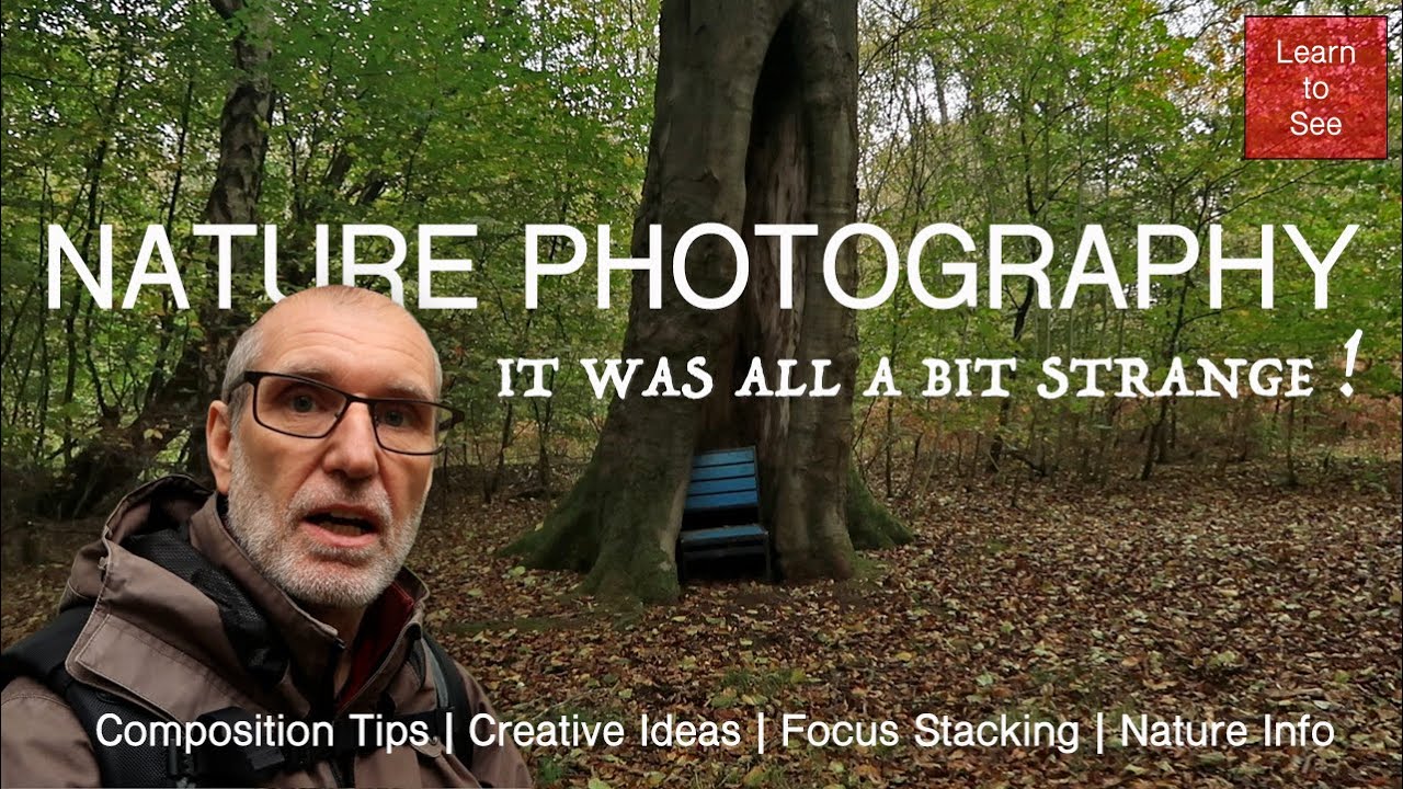 If you go down to the woods today - Composition Tips, Creative Ideas, Focus Stacking and Nature Info