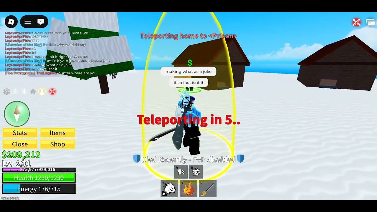 bloxfruits shit i dunno