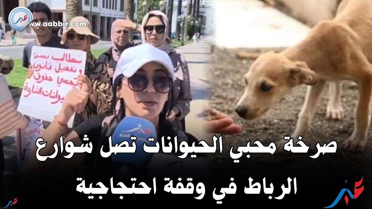 صرخة محبي الحيوانات تصل شوارع الرباط في وقفة احتجاجية