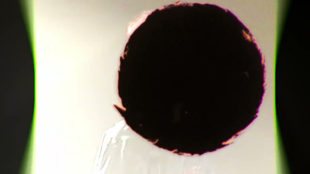 Ear Candy - Dariell Cano (Visualizer Oficial)