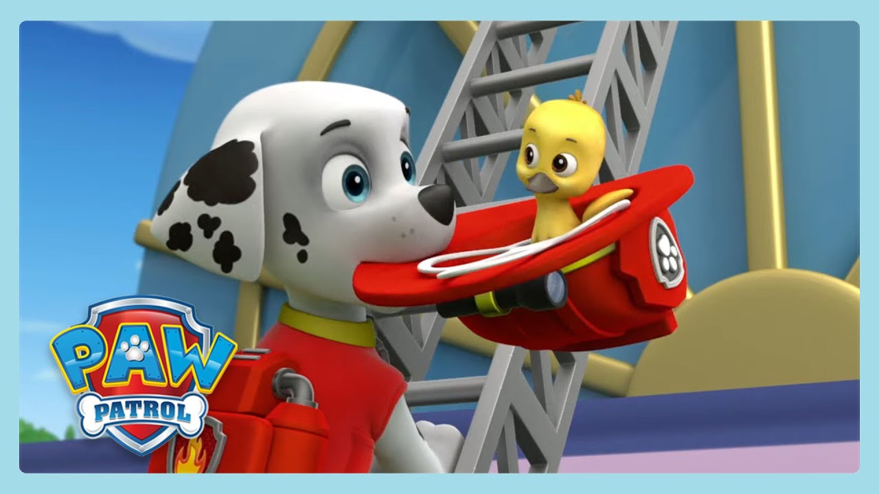 Die Rettung des gefangenen Vogels | Paw Patrol | Wildbrain Kleinkinder