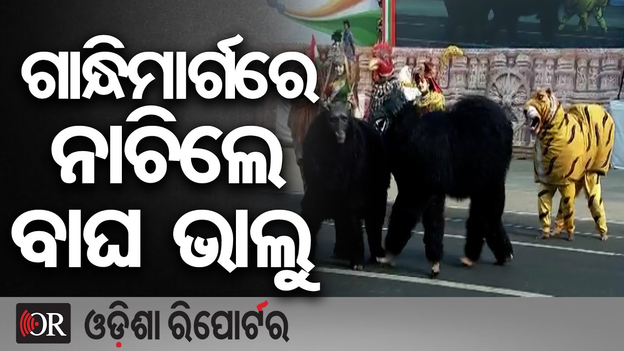 ଗାନ୍ଧିମାର୍ଗରେ ନାଚିଲେ ବାଘ ଭାଲୁ  | Odisha Reporter