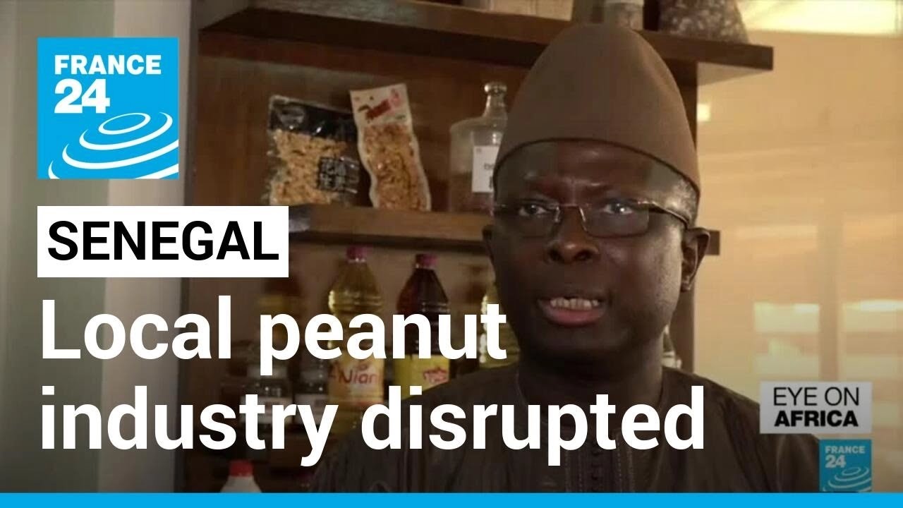Senegal peanut industry: Foreign exporters' huge demand disrupts local business &bull; FRANCE 24