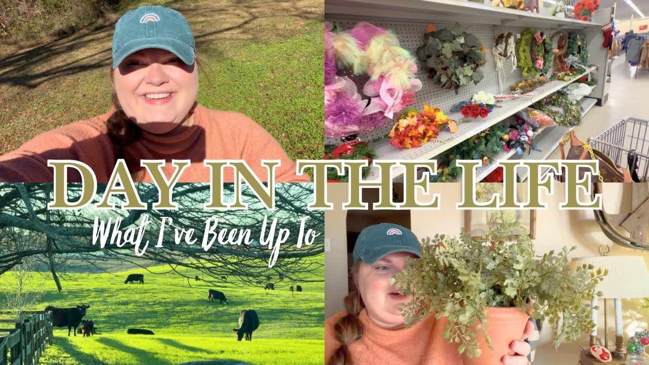 FINALLY BACK IN THE THRIFT STORE // HAUL + DITL