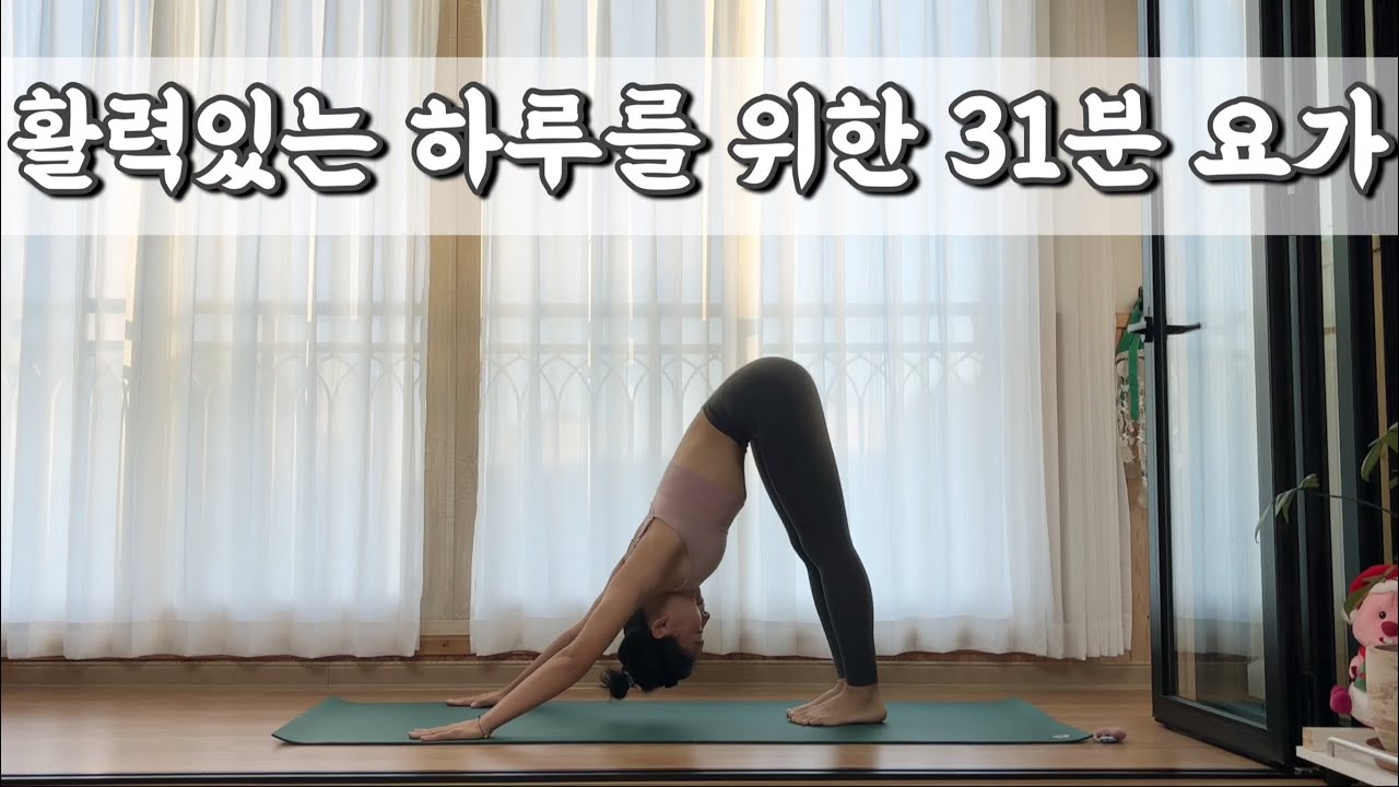 [서리요가#629] 태양경배가 포함된 하루를 편안하게 하는 31분 요가/ 데일리요가