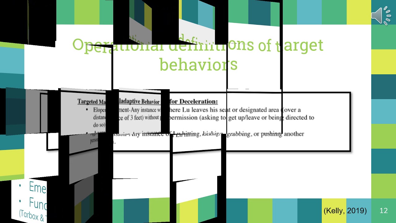 Behavior Reduction Plan