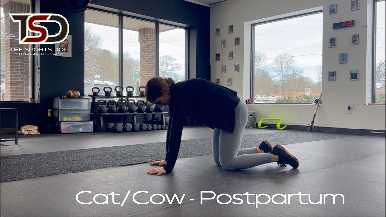 Cat Cow - Postpartum