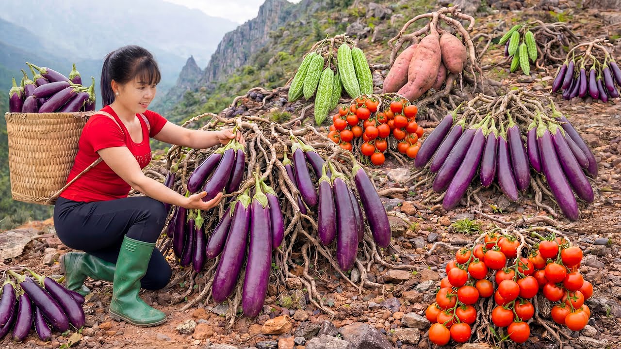 TIMELAPSE -- Cleans Her Garden and Harvests Late-Season Vegetables to Sell & Cooking Sausage Dishes