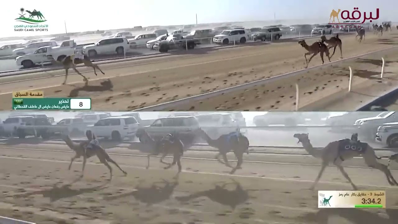 ش3 مهابة لـ محمد ناصر حطاب الكعبي (كأس وزارة الرياضة للهجن 01-12-2024م) كأس الحقايق بكار 5:50:75