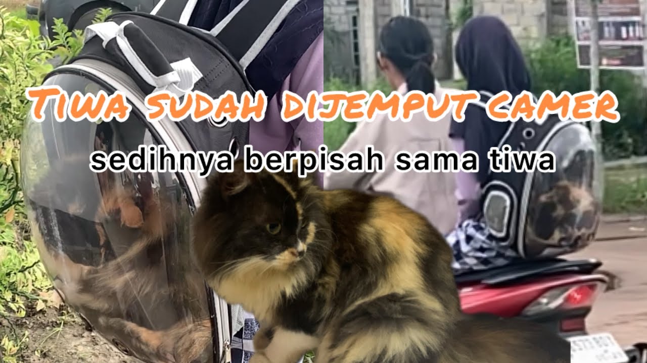 Tiwa Dibawa Kerumah Suami Baru Mama Jadi Sedih
