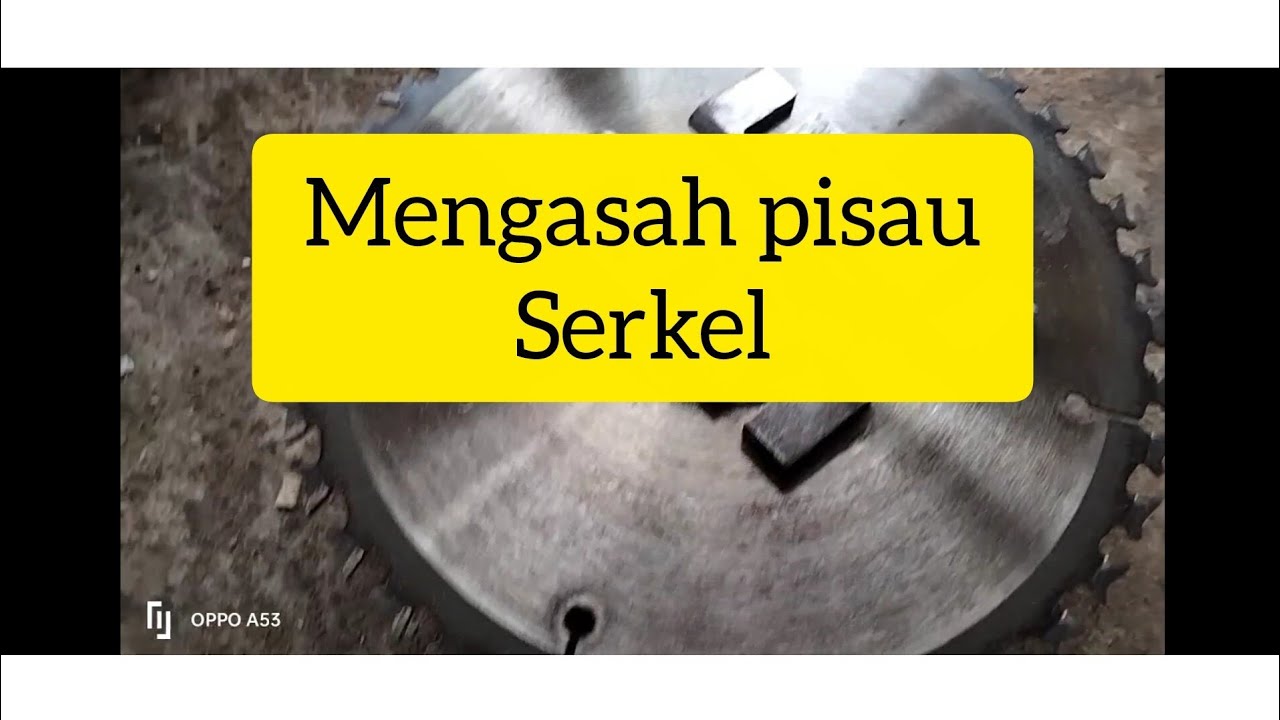 Mengasah pisau serkel .