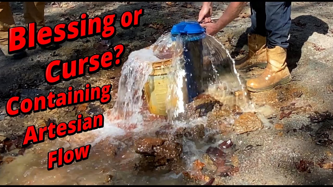 Fixing our Artesian well head, We need a special cap for Artisanal flow control