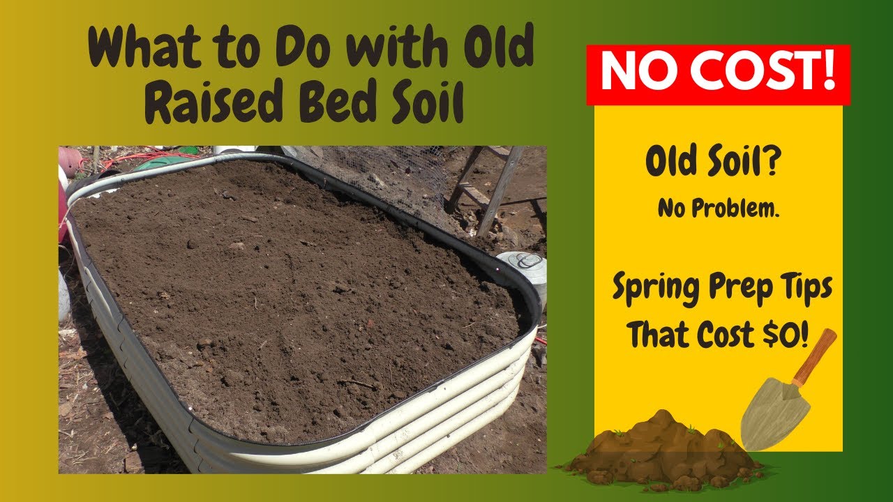 What to Do with Old Raised Bed Soil Before Spring Planting