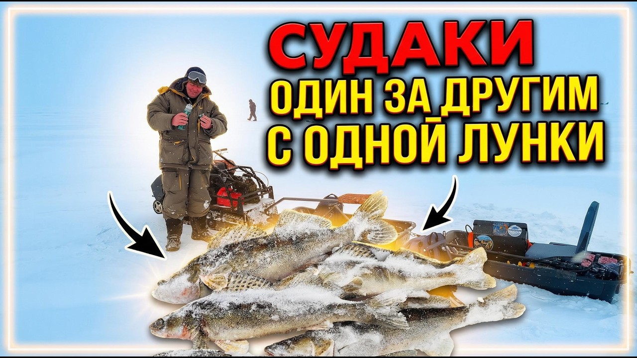 СУДАКИ ОДИН ЗА ДРУГИМ С ОДНОЙ ЛУНКИ! МЕТЕЛЬ, БАНЯ И БЕШЕНЫЙ КЛЁВ СУДАКА В АКТУШИ