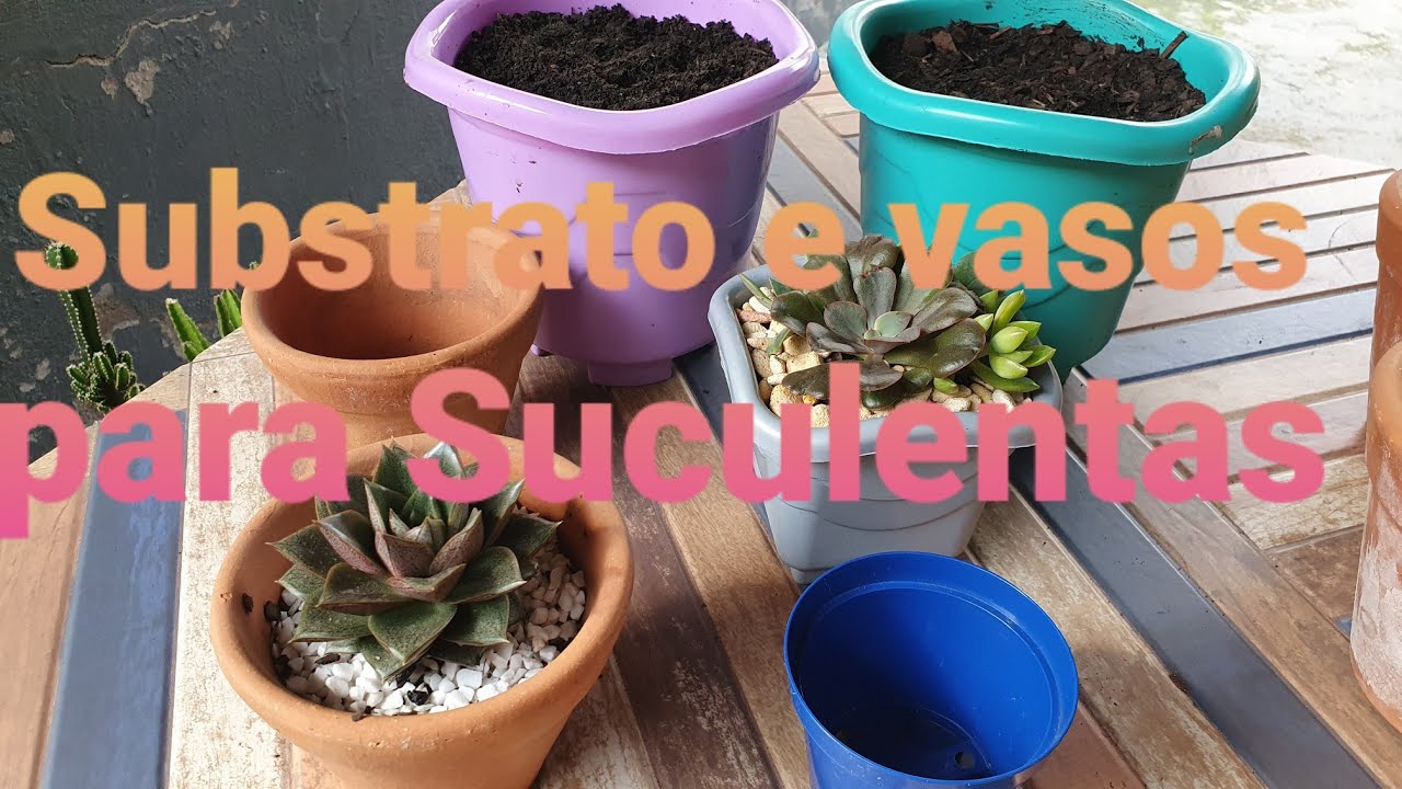 Substrato para Suculentas, barato, bom e eficiente. Vasos de barro ou de plástico, qual usar? Dicas