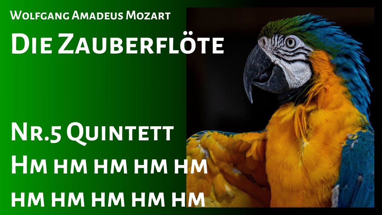 Die Zauberflöte Nr.5 Quintett 